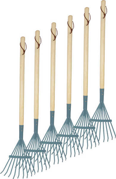 Rakes, set of 6, blue